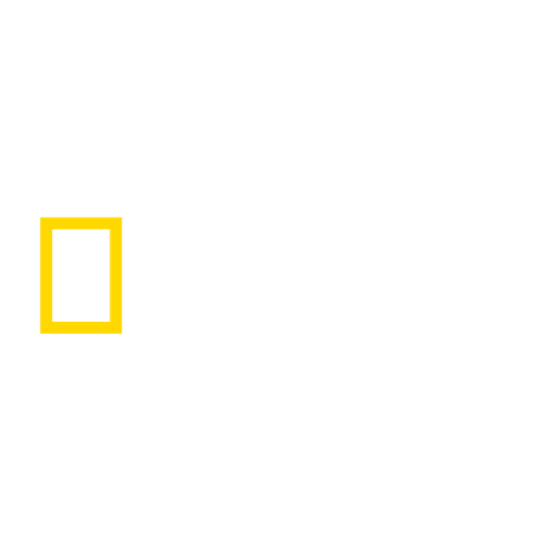 Ikona kanału National Geographic HD